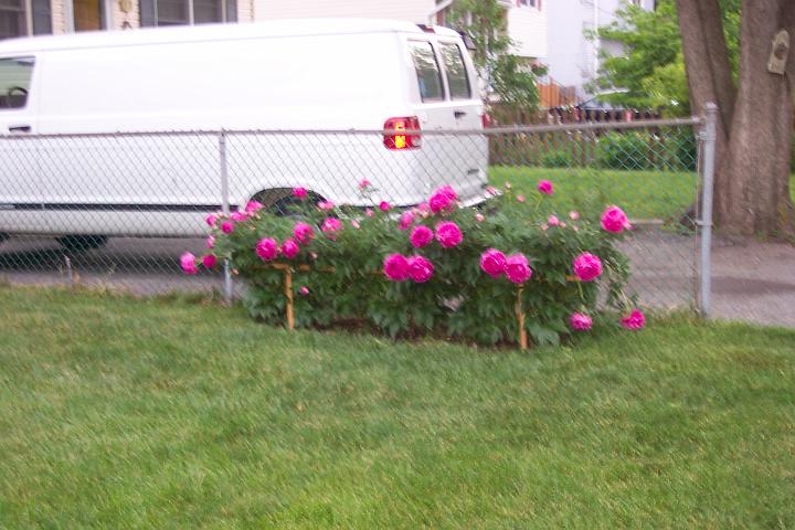 Jan-June2005 Pictures 039.jpg